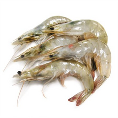 (Fresh) King Prawn 40/50 Count - 1Kg