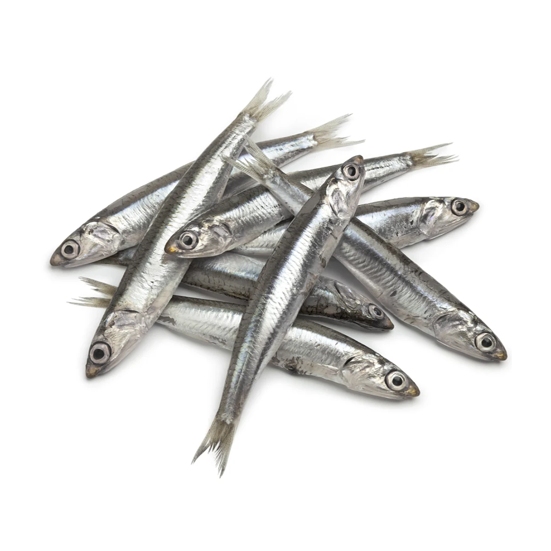 Fresh Anchovy - 1Kg