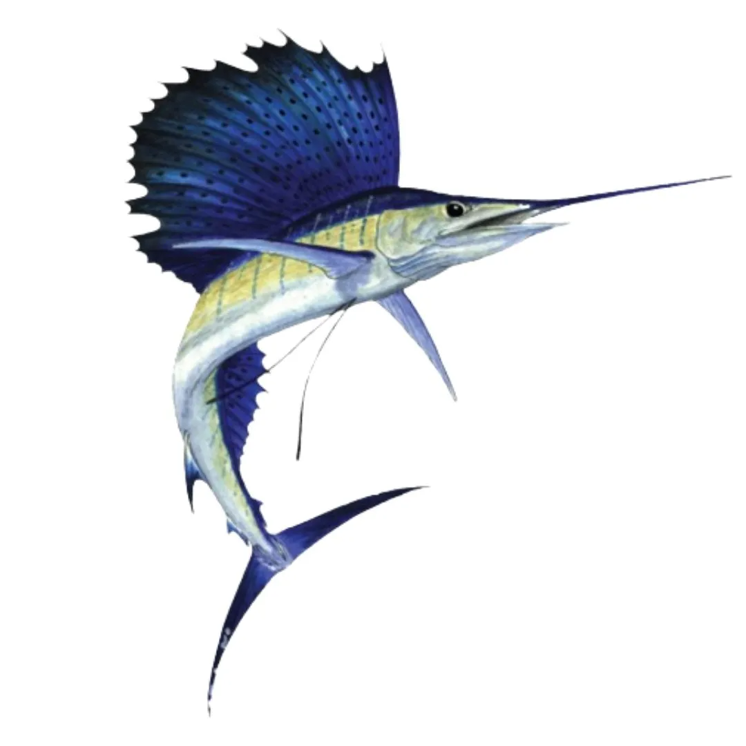 Sailfish - 1Kg