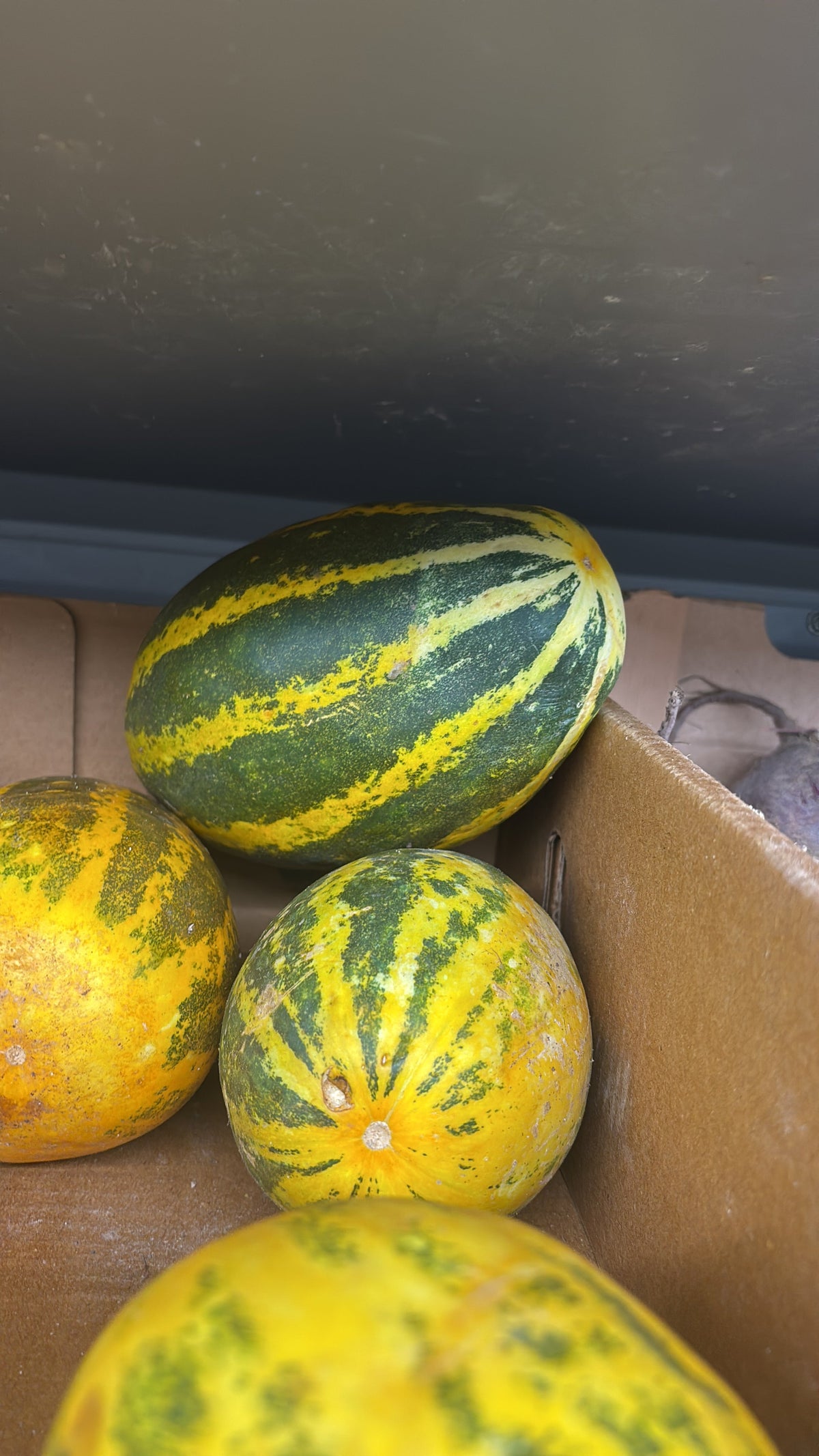 (Fresh) Indian Cucumber - 500g