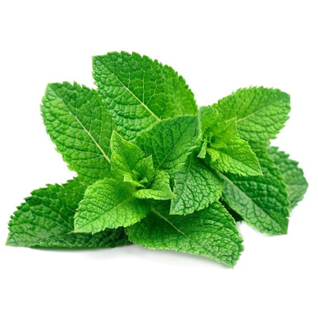 (Fresh) Mint Leaves - 1 Bunch