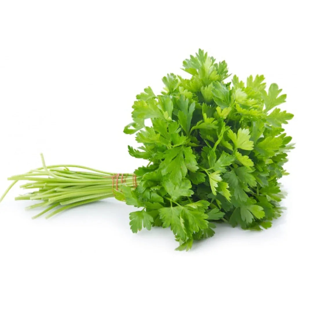 (Fresh) Coriander Leaves - 1 Bunch - Fresh Herbs & Spices - Vegspot