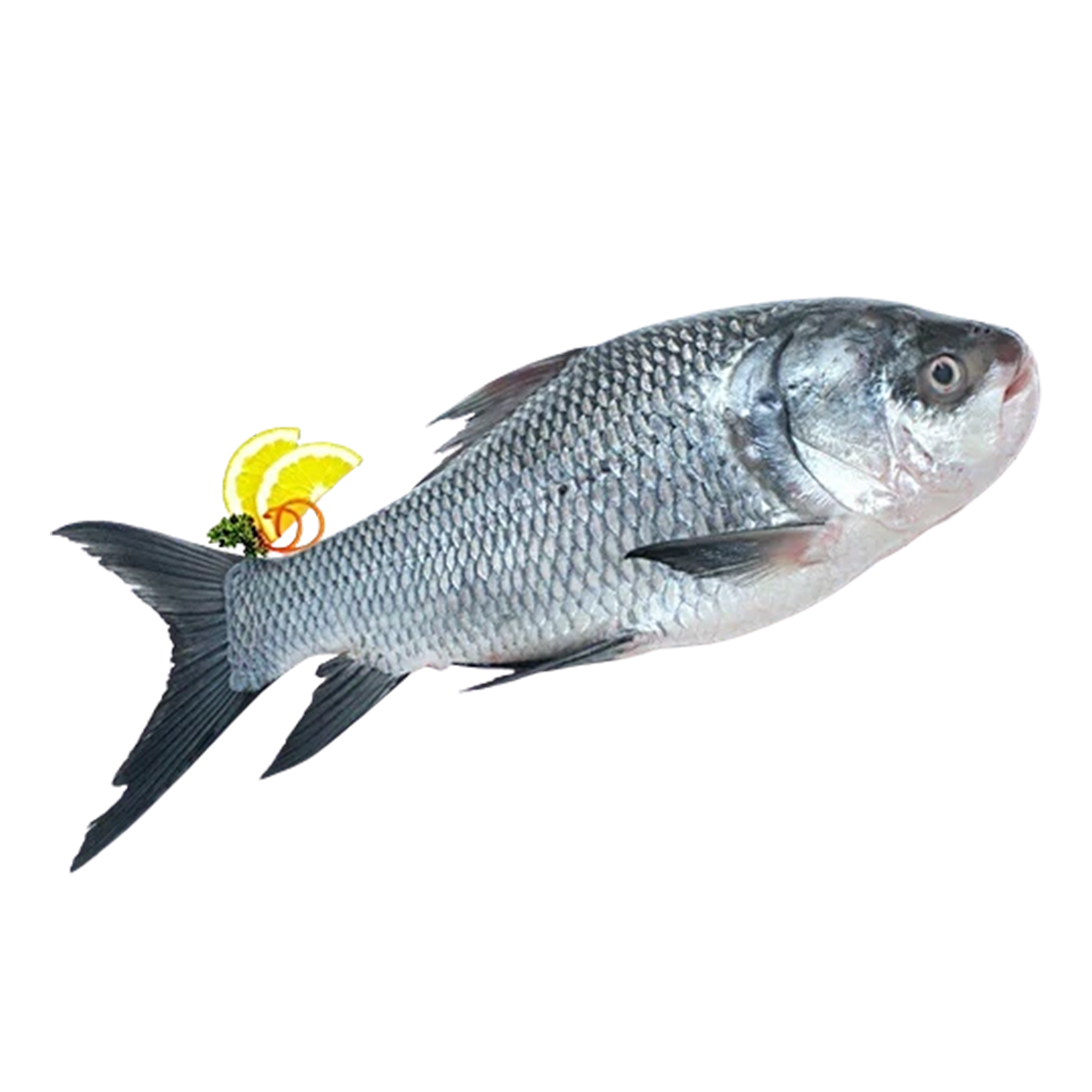 Katla Fish - 1Kg