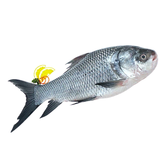 (Fresh) Katla Fish - 1Kg