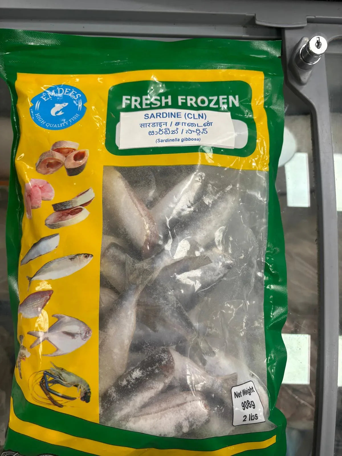 (Frozen) Sardine Fish - 908gms - Frozen Seafood - Vegspot