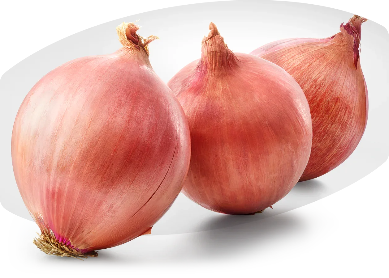(Fresh) Pink Onion - 1Kg - Fresh Vegetables - Vegspot