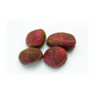 Kola Nuts - 500g