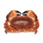Live Crab - 1Kg