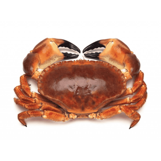(Fresh) Live Crab - 1Kg