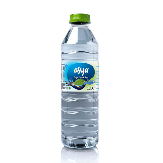 Asya Water Bottle 500ml