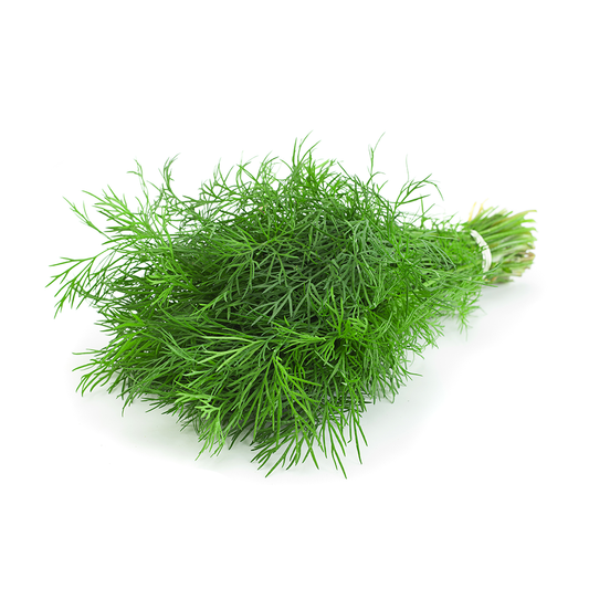 Dill (Bunch)