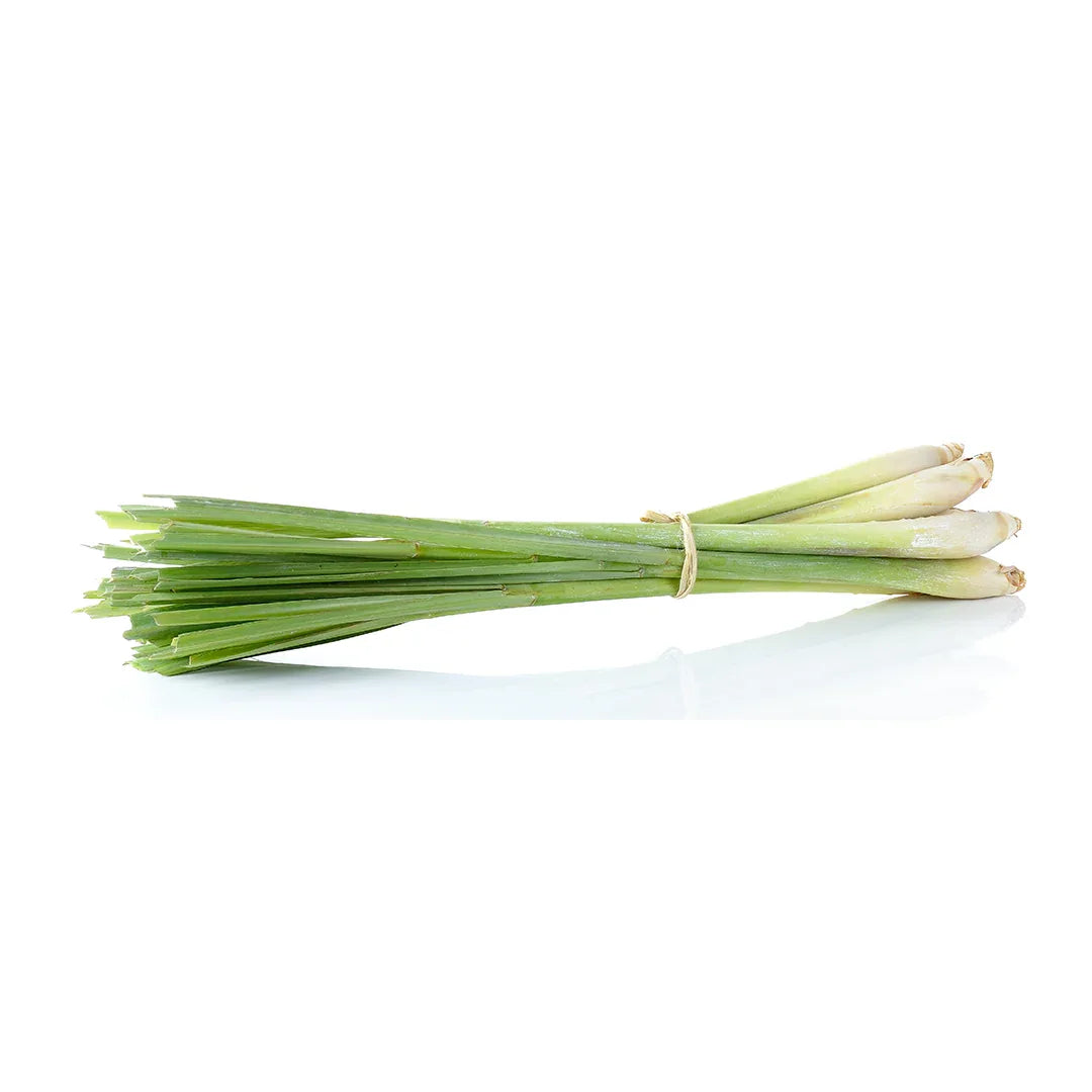 (Fresh) Lemongrass - Each - Fresh Herbs & Spices - Vegspot