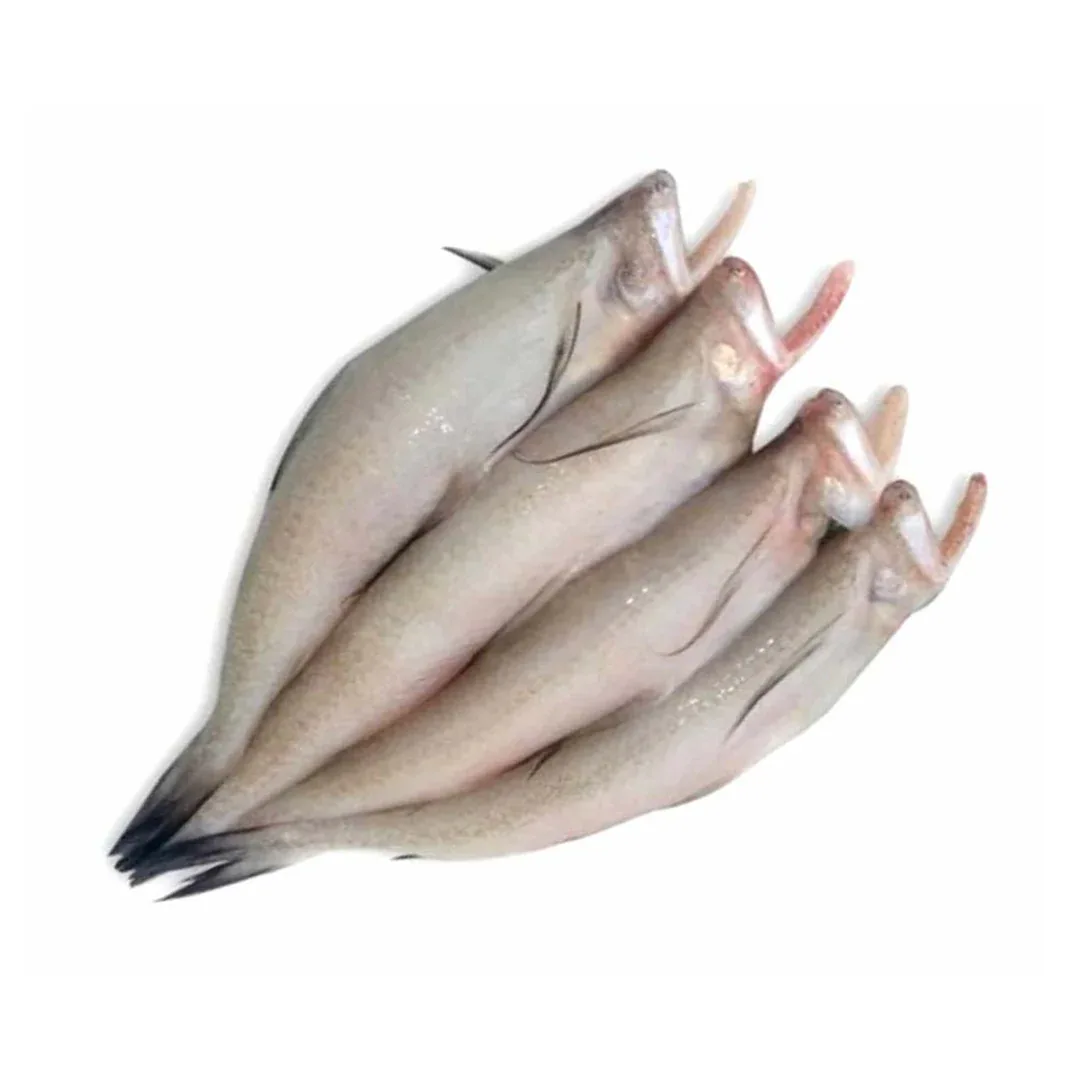 (Fresh) Bombay Duck - 1Kg - Fresh Seafood, Meat, Poultry & Seafood - Vegspot