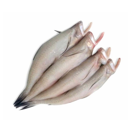 Bombay Duck - 1Kg