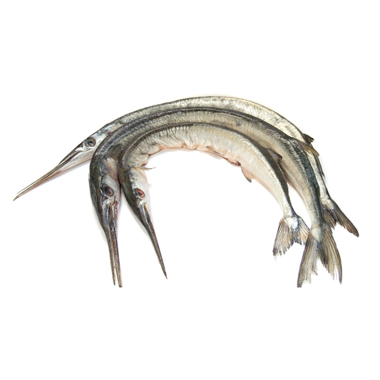 (Fresh) Needlefish - 1Kg