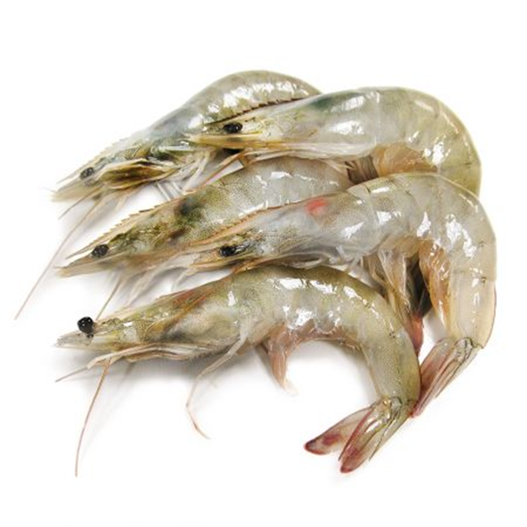 (Fresh) King Prawn 40/50 Count - 1Kg
