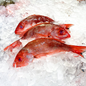 Red Snapper - 1Kg