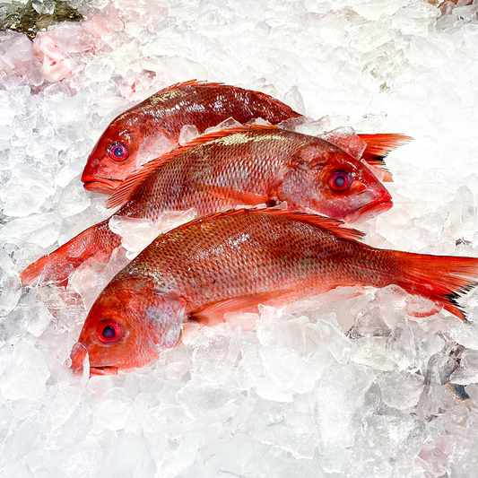 (Fresh) Red Snapper - 1Kg