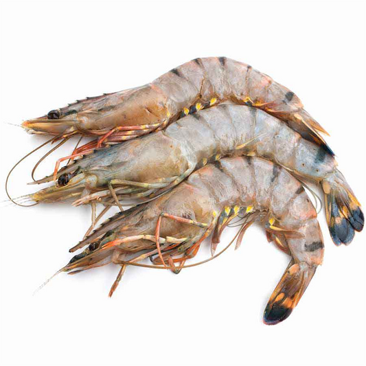 (Fresh) Jumbo / XXL Prawns - 1Kg