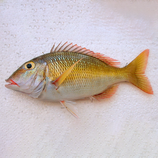 Emperor Fish - 1Kg