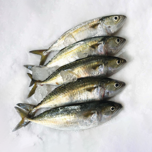 Indian Mackerel - 1Kg