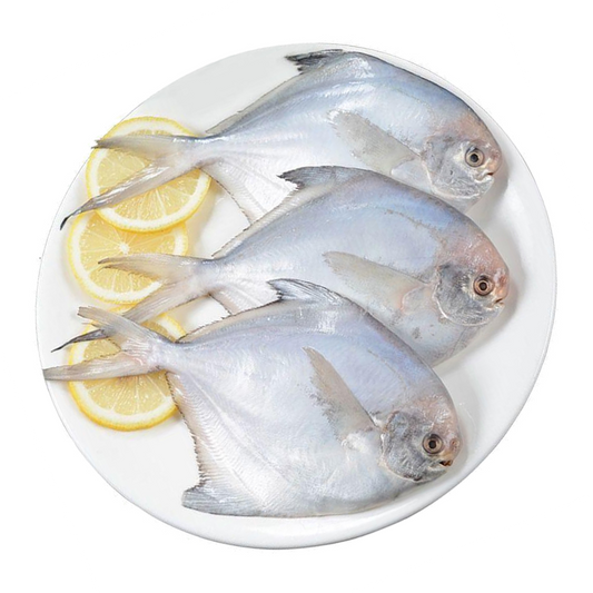 (Fresh) Silver Pomfret - 1Kg