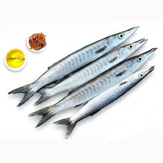 (Fresh) Barracuda - 1Kg