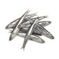 Fresh Anchovy - 1Kg