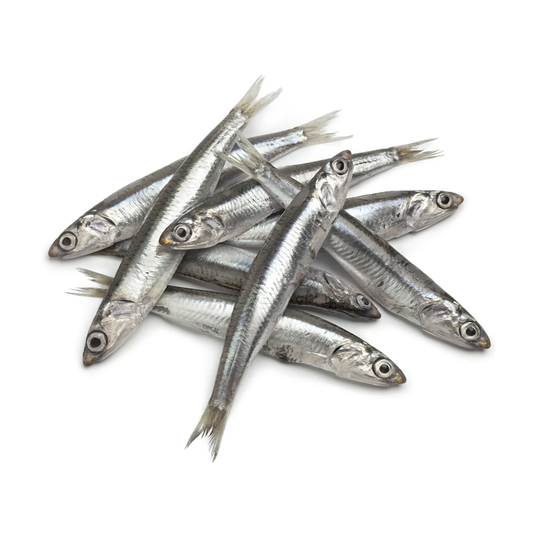 (Fresh) Anchovies - 1Kg