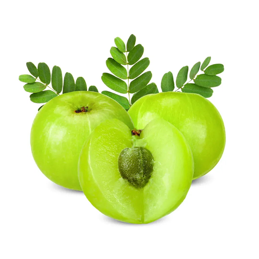(Fresh) Amla/Nelli - 500gms - Fresh Fruits - Vegspot