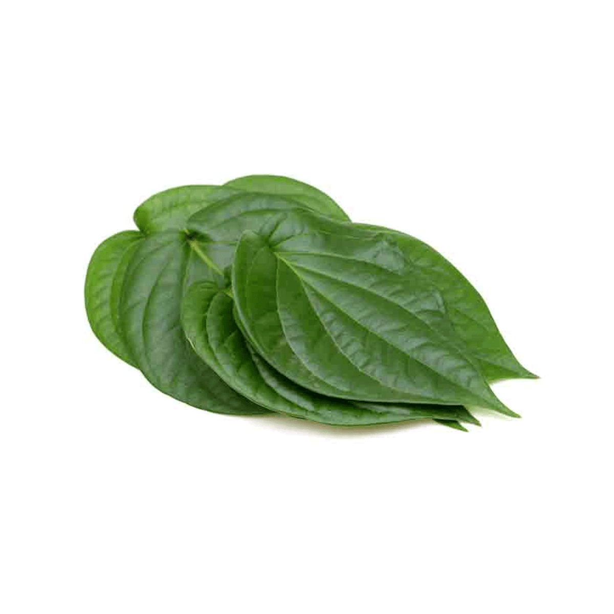 Bittel Leaves - 1 Piece