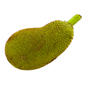 Jack fruit - 500G