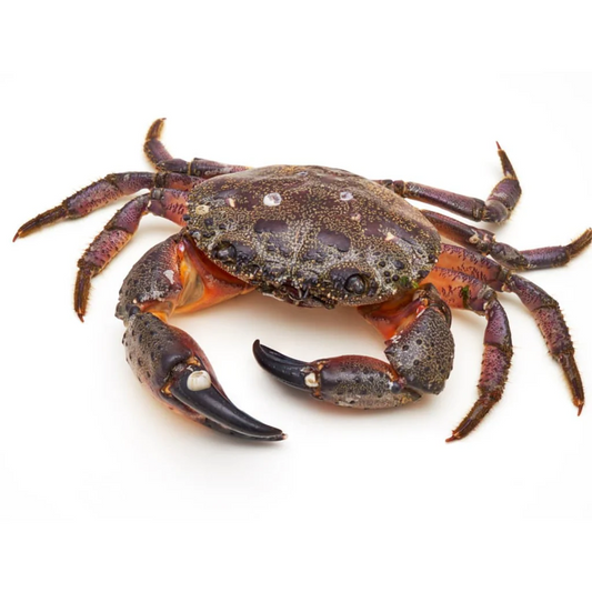 (Fresh) Female Crab - 1Kg