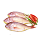 Pink Perch - 1Kg