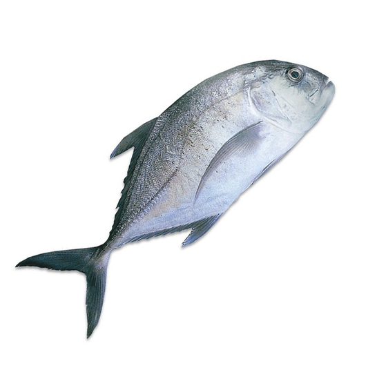 (Fresh) Trevally (Paarai) - 1Kg