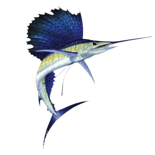 Sailfish - 1Kg