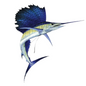 Sailfish - 1Kg
