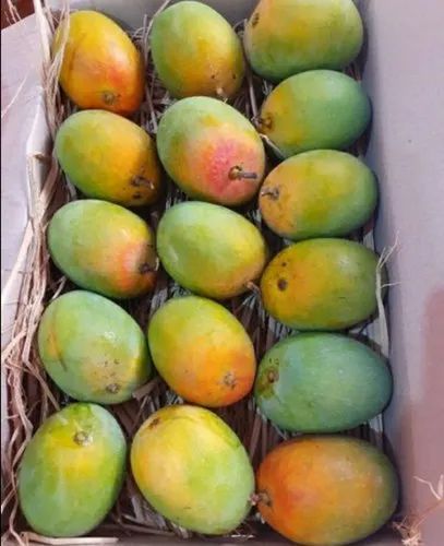 Sindhura Mangoes 1.5Kg