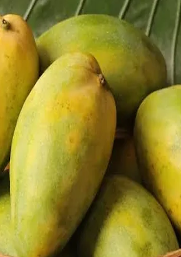 himam Pasand (himayat)Mangoes 1.5Kg